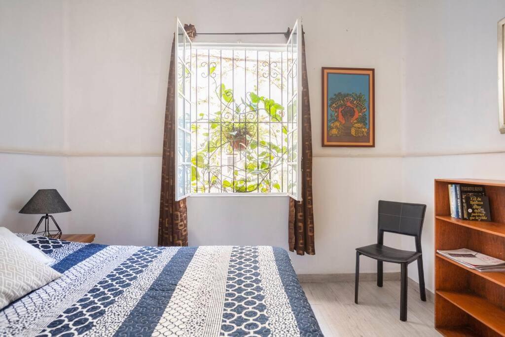 Casa Lis Art Deco Private Terrace High Speed Wifi Apartment Mexico City